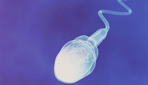 Sperm Lekesi,Sperm Lekesi Nasıl Çıkar,Sperm Lekesi Çıkarma,Pantolondan Sperm Lekesi,Yataktan Sperm Lekesi